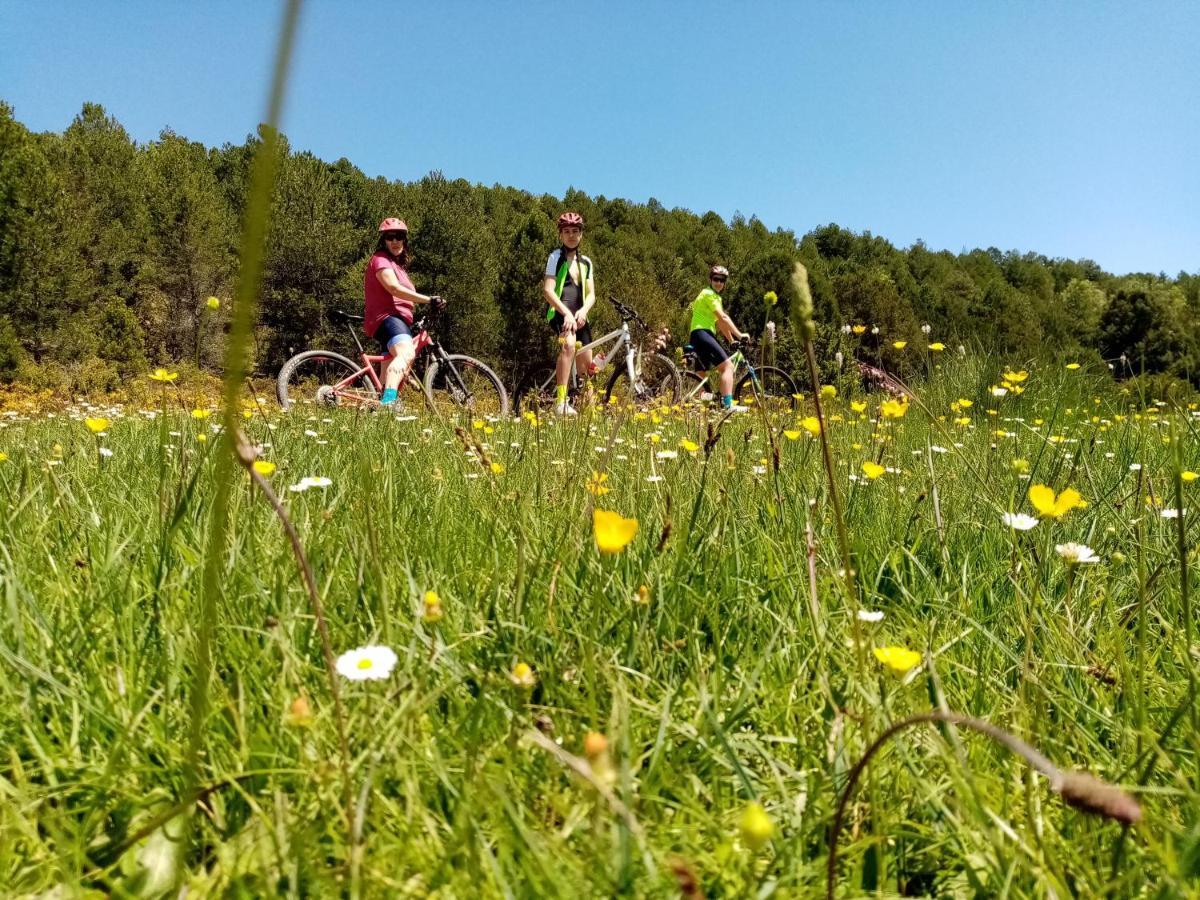 Casarejos El Nido Del Mirlo 빌라 외부 사진